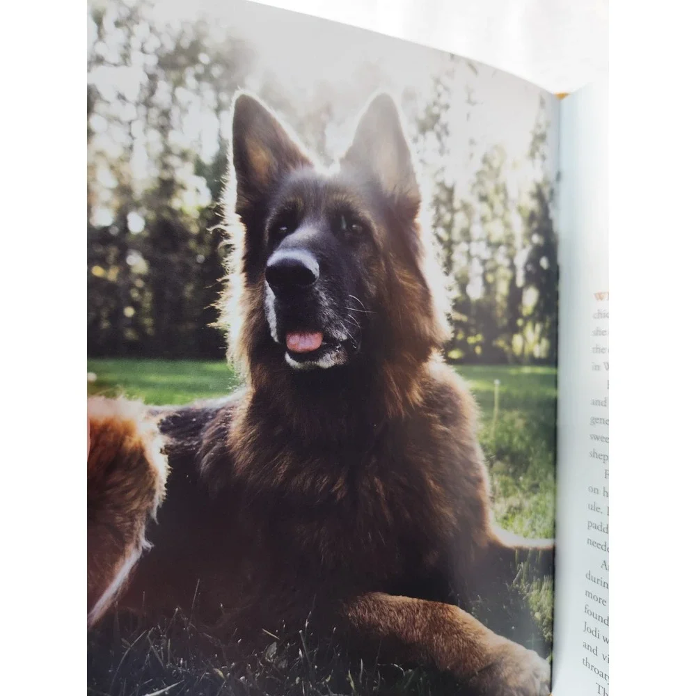 Pawverbs for a Dog Lover's Heart by Jennifer Marshall Bleakley 2020 Hard...